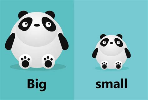 find differences kids layout  game panda bear stock vector image  calexanderpokusay