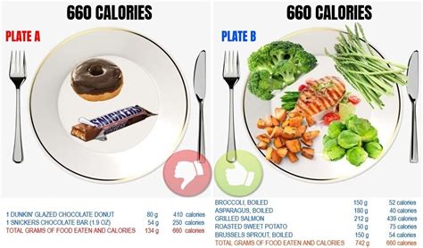 amount  calories   food sources bodybuilding wizard