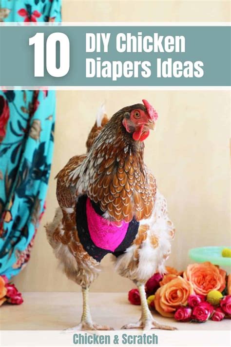 diy chicken diaper ideas