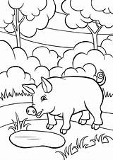 Pig Coloring Pages Animals Color Print из категории раскраски все sketch template
