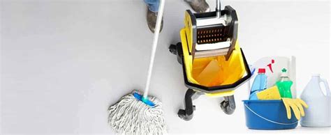 cleaning doesnt      day chore fortunately  simple