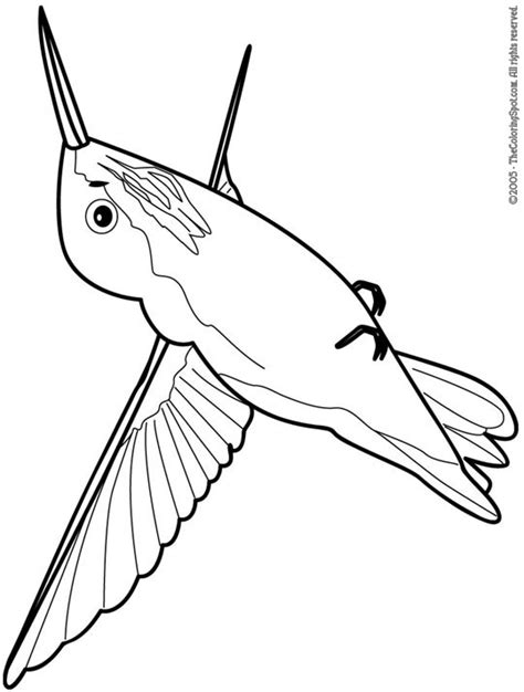 hummingbird coloring page  audio stories  kids  coloring