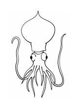 Squid Colossal Scuba sketch template