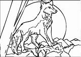 Wolf Coloring Pages Moon Howling Wolves Baby Color Grey Printable Link Print Cute Theme Anime Book Getcolorings Getdrawings Forget Supplies sketch template