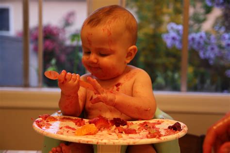healthy discussion  baby led weaning kindercare pediatrics