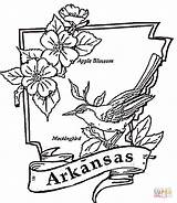Arkansas Coloring Pages Flag Printable Illinois State Color Colorings Ghetto Kids Razorbacks Supercoloring Getcolorings Facts Silhouettes Drawing Getdrawings Clipart Categories sketch template