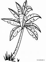 Tree Palm Drawing Coloring Outline Getdrawings Beach Kids Leaves Pages Printable Line Colouring Apple Adult Leaf Clipartmag sketch template