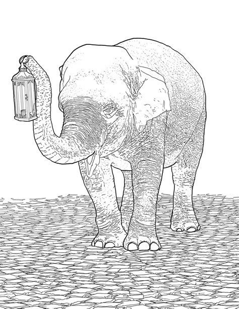animal patterns coloring pages  pages  adult colorning