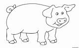 Cochon Maternelle sketch template