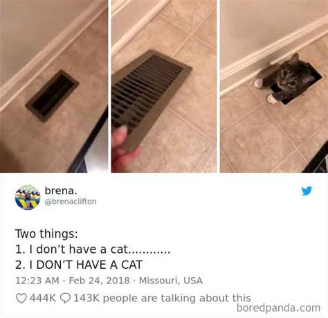 20 of the funniest cat tweets part 1 we love cats and kittens