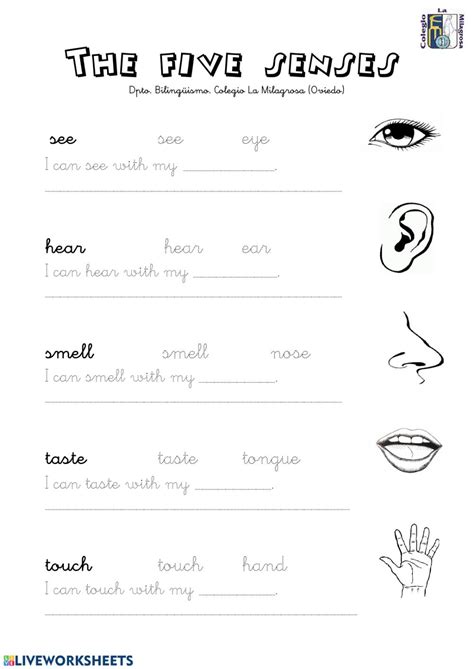 senses worksheet interactive worksheet
