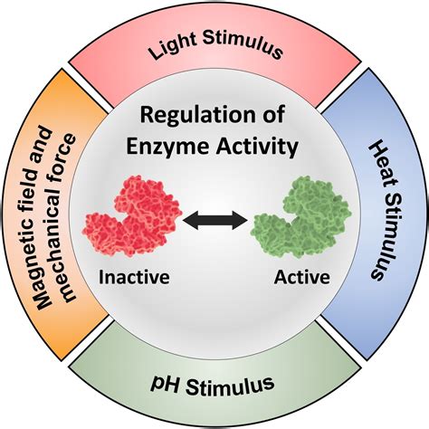 advanced strategies  enzyme activity regulation  biomedical