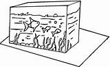 Aquarium Acquario Akwarium Kolorowanki Pesci Colorear Fisch Ausmalbild Kolorowanka Acuario Dzieci Peces Ausmalen Fische Stampare Tegninger Pesciolini Rybki Ryby Fisk sketch template