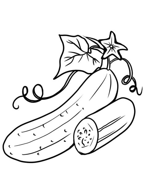cucumber coloring pages coloring home