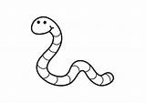 Coloring Worm Pages Color Worms Animals Printable Colorir Cartoon sketch template