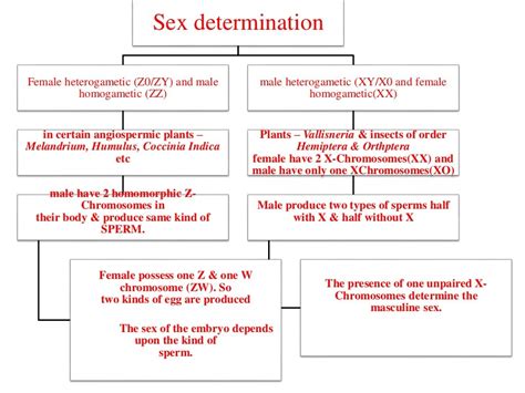 Sex Determination Ppt