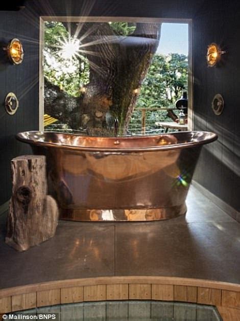 Britain S Most Luxurious Treehouse Could Win Riba Award Daily Mail Online