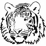 Tiger Outline Coloring Cute Clip Comments sketch template