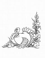 Turkey Coloring Pages Thanksgiving Turkeys Kids Printables Printable Color Bestcoloringpagesforkids Cartoon sketch template