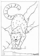 Leopard Coloring Pitara Pages sketch template