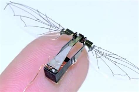 air force  developing bird  microdrones  flapping wings militarycom