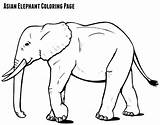 Elephant Asian Drawing Coloring Printables Fun Getdrawings Sept Games sketch template