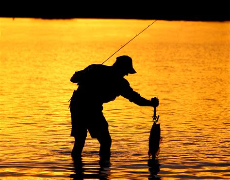 oito dicas  sua proxima pescaria revista pesca companhia