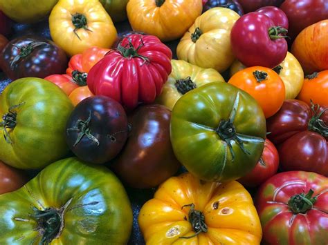 wshgnet blog   market  heirloom tomatoes  home