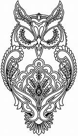 Coloring Pages Animal Adults Owl sketch template