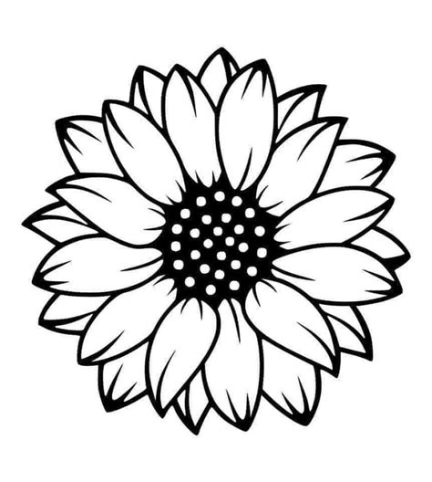 pin oleh jess morris  cricut   lukisan seni ilustrasi pola bunga
