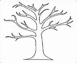 Tree Leaves Coloring Pages Drawing Printable Palm Trunk Branch Stump Trees Template Oak Without Leaf Color Kids Outline Getdrawings Bare sketch template