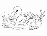 Coloring Duckling Pages Printable Printables Easy Museprintables Animal Choose Board sketch template