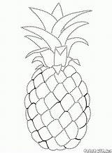 Pineapple Coloring Pages Colorkid sketch template
