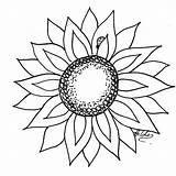 Sunflower Printable Template Clipart Clip Outline Line Flower Cliparts Cut Library Challenge Drawing Patterns Draw Wikiclipart Followers Box Make Sunshine sketch template