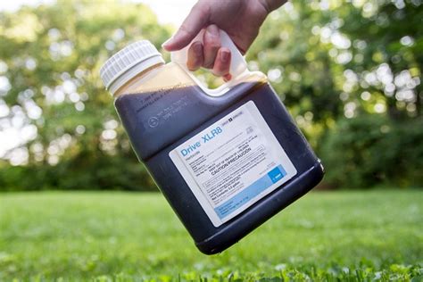 drive xlr herbicide instructions reviews label  application bigbear pest control