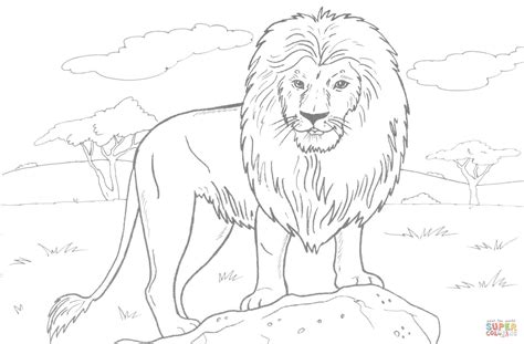 coloriage lion dafrique sur  rocher coloriages  imprimer gratuits