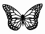 Stencil Schmetterling Stencils Schablone Siluetas Mariposas Mariposa Schmetterlinge Schablonen Vlinder Silhouette sketch template