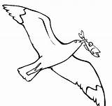 Gaviota Gaviotas Seagull Volando Peixe Flying Gull Colorir Bico Iluminar Dibujo Tudodesenhos sketch template