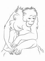 Coloring Pages Gorilla Chimpanzee Apes Kids Mammals Getdrawings Drawing sketch template