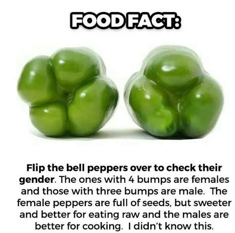 Fact Check A Bell Pepper S Gender Indicates How It Ll Taste