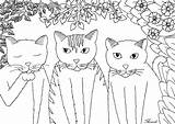 Coloring Chats Trois Colorare Gatos Coloriages Gatti Disegni Adultos Justcolor Erwachsene Katzen Malbuch Jolis Adulti Facce Adultes Greatestcoloringbook Katze Nggallery sketch template