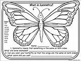 Butterfly Symmetry Butterflies Freebie Insects Workshop Whimsyworkshop Whimsy Prompt sketch template