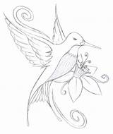Hummingbird Coloring Drawing Outline Pages Easy Drawings Bird Flower Pencil Tattoo Humming Simple Sketch Color Tattoos Flowers Hummingbirds Line Rocks sketch template