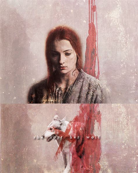 Sansa Stark And Lady Game Of Thrones Fan Art 34674082
