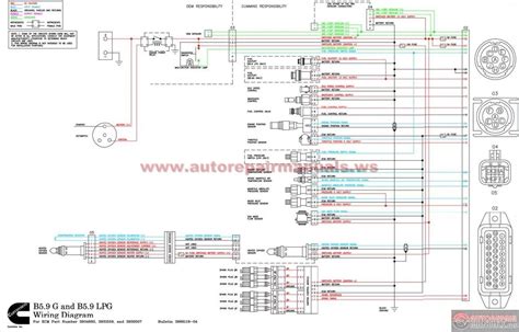cummins ism cm control module wiring diagram wiring diagram pictures