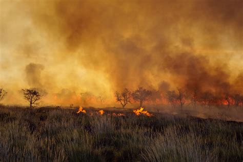 Incendios En Australia Más De 1 Millón De Hectáreas