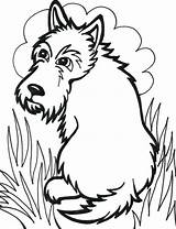 Coloring Dog Scottie Pages Cute Scottish Terrier Printable Kids Getcolorings Colourin Clipartmag Drawing sketch template