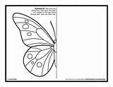 Symmetry Pages Worksheets Sheets Symetria Symmetrical Bug Motyl Kolorowanka Artforkidshub Maths Hub Insect Menloparkart sketch template