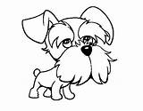 Schnauzer Coloring Colorear Para Perro Dibujos Outline シュナウザー Miniature Line Pages Coloringcrew Drawing Dogs Dibujo Dog Puppy Mini イラスト ぬりえ sketch template