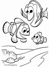 Nemo Dory Coloring Marlin Finding Colouring Disney Printable Coloriage Colorare Disegni Da sketch template